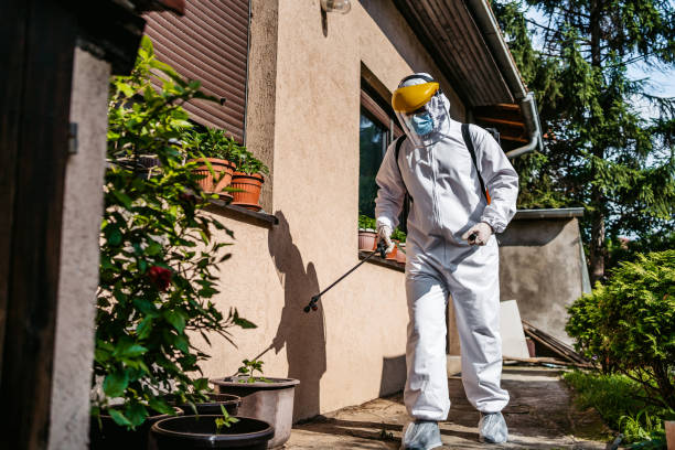 Best Pest Inspection Near Me  in Eastland, TX