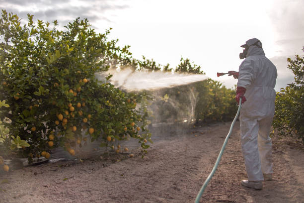 Best Pest Removal Services  in Eastland, TX