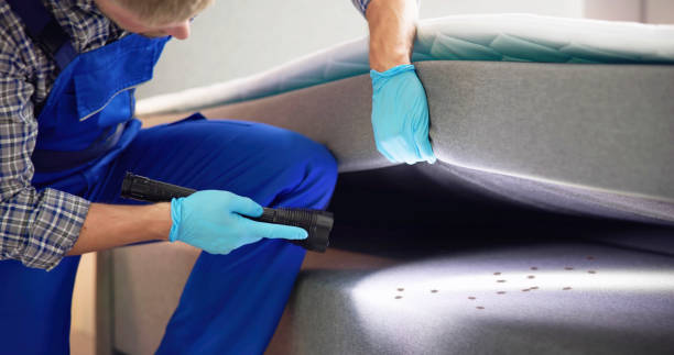 Best Termite Control Services  in Eastland, TX
