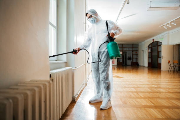 Best Local Pest Control Services  in Eastland, TX