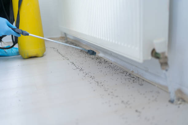 Best Pest Control Near Me  in Eastland, TX