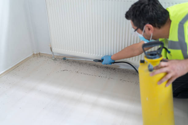 Best Ant Control Services  in Eastland, TX